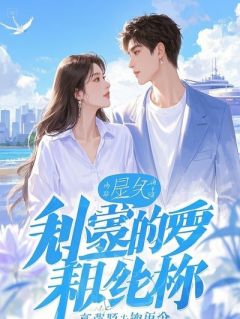 苏念夏小满林语主角的小说完结版姐姐们,请别为我哭泣全集