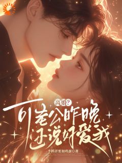 离婚？可老公昨晚还说好爱我by手抓饼要加鸡蛋免费阅读小说大结局