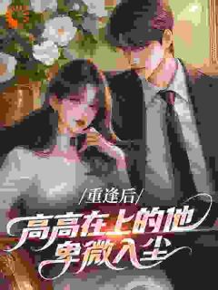 00零最新小说重逢后，高高在上的他卑微入尘苏言季复临在线试读