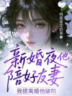 高质量小说新婚夜他陪好友妻，我提离婚他破防在线试读