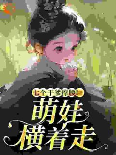 七个干爹撑腰!萌娃横着走林岁岁秦萧-小说txt全文阅读-暗夜阅读网