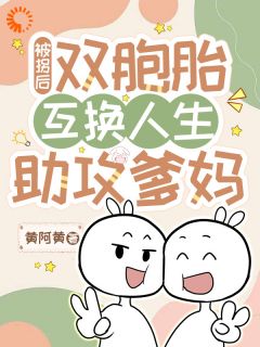 被拐后！双胞胎互换人生助攻爹妈大结局阅读 蒋桃陆彦宁小说在线章节