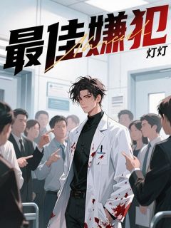 全章节小说最佳嫌犯灯灯最新阅读