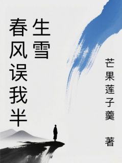 书荒推荐春风误我半生雪(虞向晚陆轻舟)在线试读