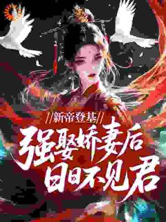 无弹窗小说新帝登基，强娶娇妻后日日不见君 作者人皆有之