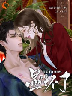 我都显怀了，前夫哥还没释怀小说书凝封律免费阅读