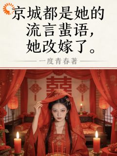 老书虫力荐京城都是她的流言蜚语，她改嫁了免费无弹窗阅读