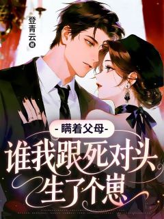 瞒着父母，我跟死对头生了个崽(凌晚顾淮)小说全章节目录阅读