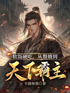 软饭硬吃，从赘婿到天下霸主(不渡你我)最佳创作小说全文在线阅读
