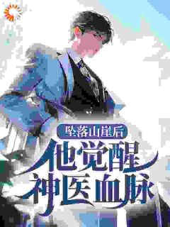 【坠落山崖后，他觉醒神医血脉】主角(葛风刘九香)在线阅读