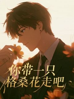 你带一只格桑花走吧章节全目录 江妄舒雅沈梨全文免费阅读