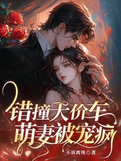 全章节小说错撞天价车，萌妻被宠疯不诉离殇最新阅读