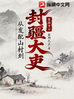 医路青云:从发配山村到封疆大吏(新书)大结局在线阅读