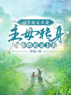 林书婉许望钦主角的小说完结版司令宠妾灭妻，主母转身嫁少帅被宠上天全集