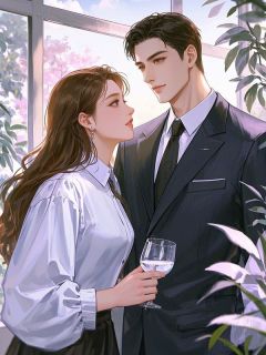 沈默顾廷夜故人曾经许白头小说完整版