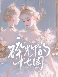 碎光中的十七圈小说(完结)-江拓辞阿玉无删减阅读-暗夜阅读网