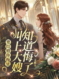 要结婚你拖延，叫上大嫂知道悔了（沈宁周颉深周京野）精彩小说目录阅读