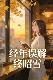 (热推新书)经年误解终昭雪沈念安陆则川林知夏无弹窗阅读