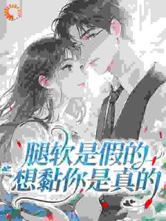 腿软是假的，想黏你是真的沈宁雪顾怀瑾-许清端小说