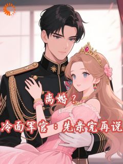 抖音热推小说离婚?冷面军官:先亲完再说全文在线阅读-暗夜阅读网