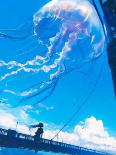 主角江迟沈月的小说作者十一