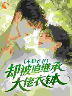 免费完结小说28岁退休养老,我成了豪门团宠钟少婷时桉无弹窗免费阅读-暗夜阅读网