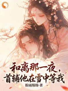 主角沈清婉裴凌州小说完整版-和离那一夜,首辅他在雪中等我免费阅读全文