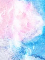 卷王嫡姐进宫后,我靠躺平赢麻了沈宁裴枭全章节完结版在线阅读