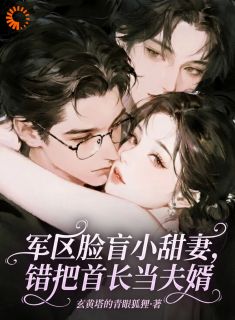 军区脸盲小甜妻，错把首长当夫婿抖音全本小说苏轻颜顾沉抖音免费章节阅读