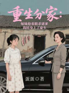 抖音爆款重生分家:妹妹抢着跟杀猪爹,我转身上了豪车孟钰陆沉无广告阅读