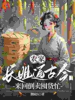 农家长姐通古今,来回倒卖囤货忙在哪免费看,沈苗沈芽小说章节目录阅读