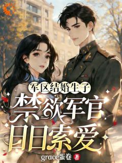 抖音沈书翎陆景逸小说叫什么名字