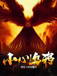 小心！乌鸦！完整版免费阅读，罗杰露娜小说大结局在哪看