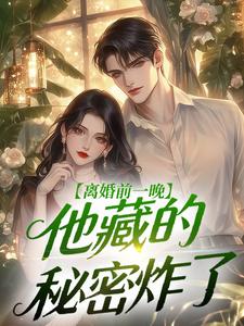 离婚前一晚,他藏的秘密炸了无广告阅读 黎漾周尧北免费在线阅读
