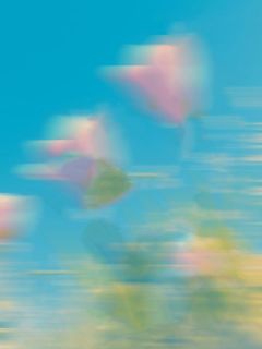 女管家装傻害死婆婆后，老公气疯了小说全集(陈晟周千妤)无弹窗广告阅读