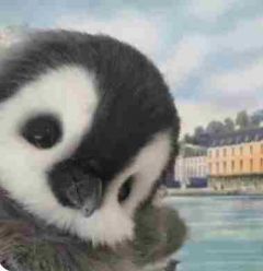 中奖一个亿,分我妈五百万,她却和我哭穷(林婉晴)全文完整版阅读