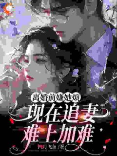 离婚前嫌她烦，现在追妻难上加难小说主角是余盛夏郁景修全文完整版阅读