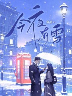 今夜有雪by衾凉(叶浅华梓晔)未删节免费阅读