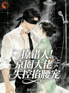撩错人！京圈大佬失控掐腰宠(阮宁谢晏辞)全文章节在线阅读