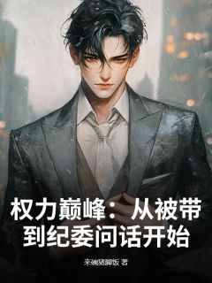 李砚舟张祥年小说章节目录阅读-权力巅峰：从被带到纪委问话开始在哪免费看