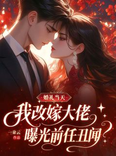 婚礼当天，我改嫁大佬曝光前任丑闻(全章节)-苏以安许时舟在线阅读