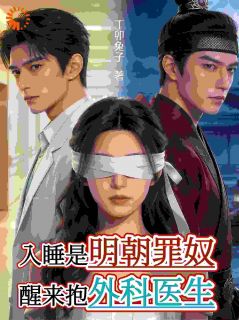入睡是明朝罪奴，醒来抱外科医生关知知谢衡by丁卯兔子免费看