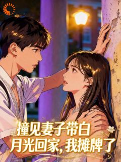主角是沈执江挽意的小说叫什么撞见妻子带白月光回家，我摊牌了免费全文阅读