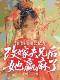 全章节小说新婚夜相公私奔,改嫁夫兄后她赢麻了小鸭子最新阅读