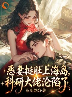精彩小说沈夏谢长洲恶妻挺肚上海岛，科研大佬沦陷了全文目录畅读