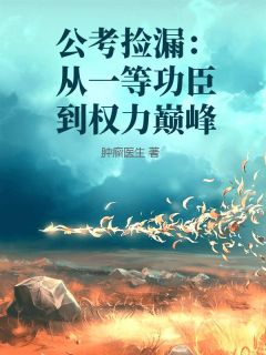 公考捡漏：从一等功臣到权力巅峰小说免费版阅读抖音热文