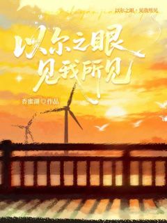 以尔之眼，见我所见完整版-任季雅顾烨南在线全文阅读