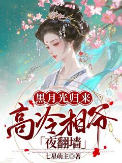 黑月光归来，高冷相爷夜翻墙by七星萌主
