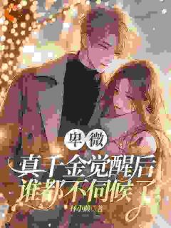 林小懒最新小说伺候全家被亏待，重生后她大杀四方岳千灵谢怀瑾在线试读