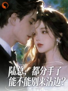 陆总，都分手了能不能别来沾边？免费阅读全文，主角盛筠陆屹小说